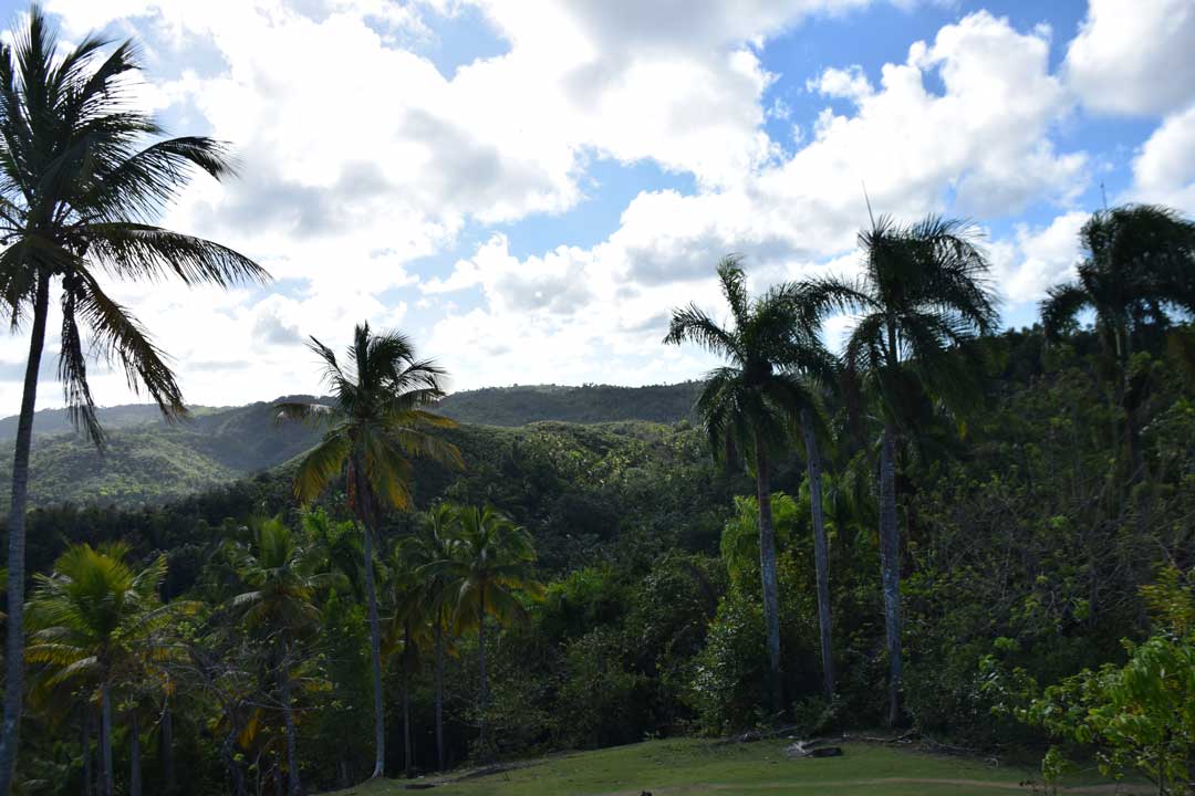 First Viewpoint